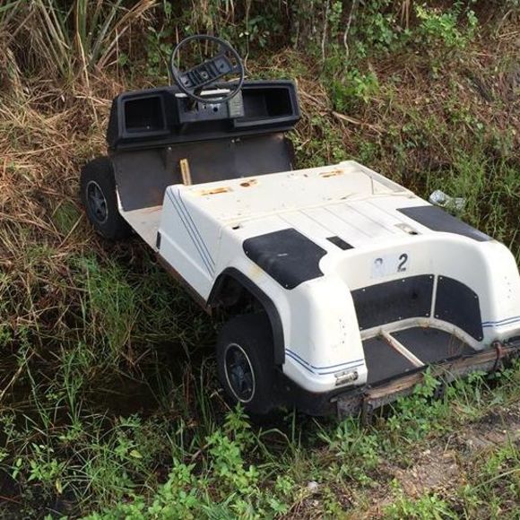 Meet your Posher, William - Picture 1 of 1